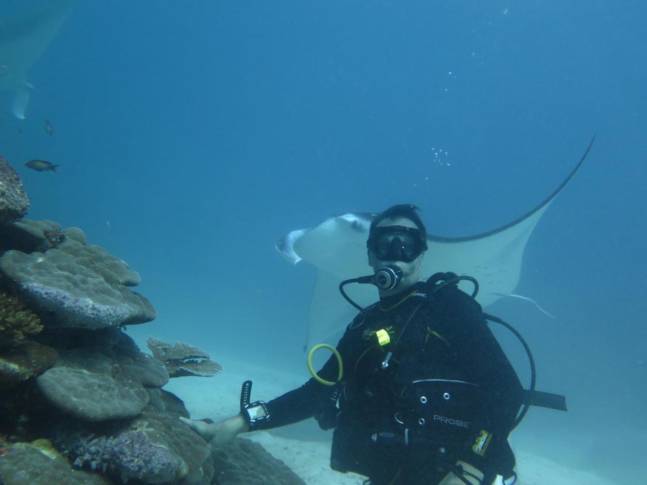 South Ari Dive Center Hotel Dhangethi Eksteriør billede