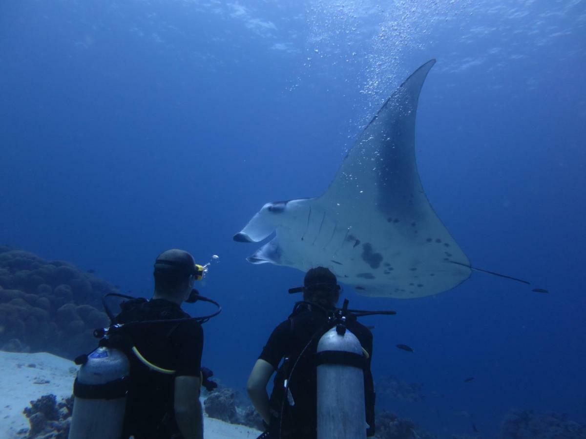 South Ari Dive Center Hotel Dhangethi Eksteriør billede