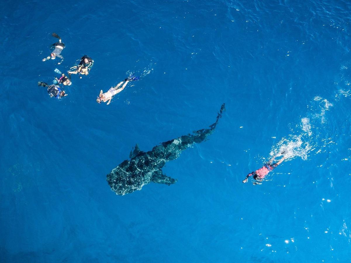 South Ari Dive Center Hotel Dhangethi Eksteriør billede