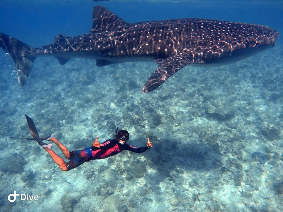 South Ari Dive Center Hotel Dhangethi Eksteriør billede